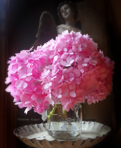 pink hydrangea photo shoot 4